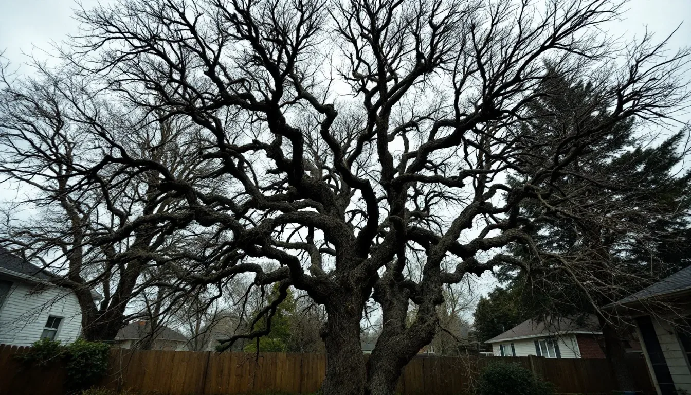 Maple Tree Trimming in Columbus
